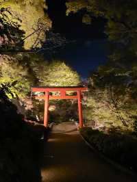 【大阪】勝尾寺