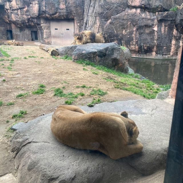 わかりやすい！大阪eco動物海洋専門学校　天王寺動物園