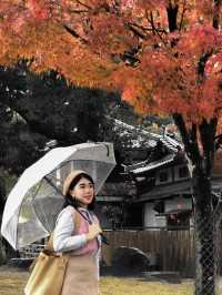 日本奈良興福寺賞紅葉🍁