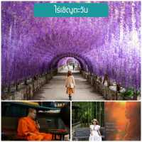19 จุดเช้คอินเชียงราย 2023