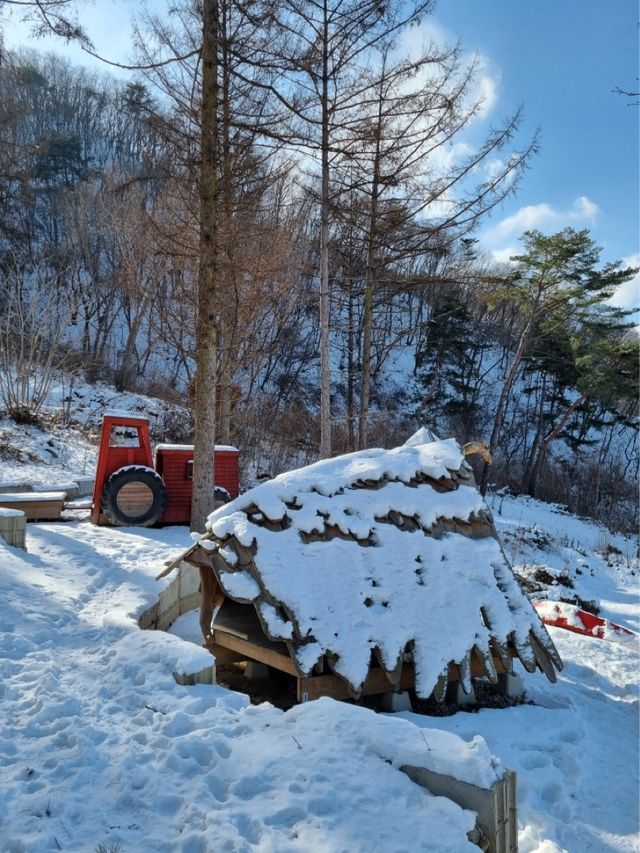 춘천 눈꽃여행 명소