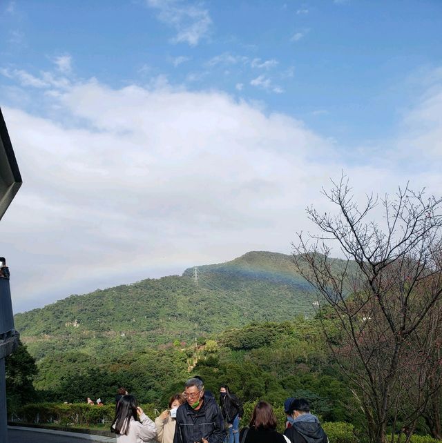 腳底發麻【台北文山】貓空水晶纜車之旅