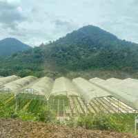 Agrotech Gopeng