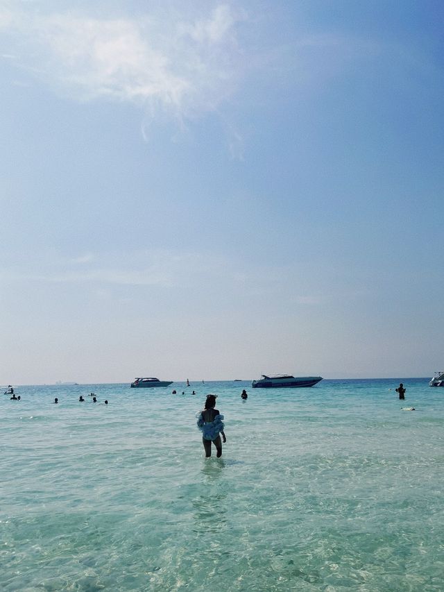 ‼️แชร์โลมา ถ่ายรูปกับน้องห่าน เจ้าหญิงแห่งหาดเทียน