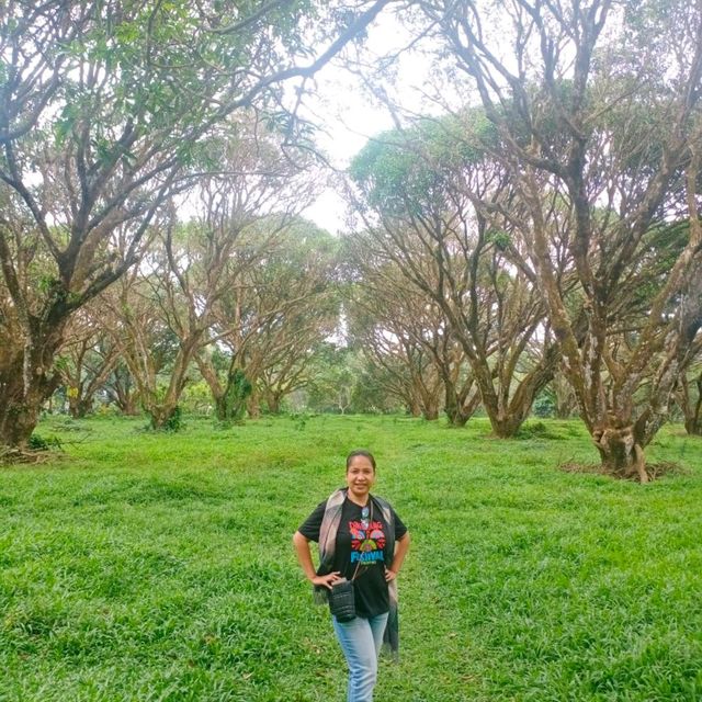 Guimaras Island Philippines