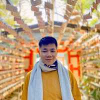 青島神社-神話背景濃厚的姻緣神社