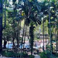 สวนรุกขชาติมวกเหล็ก Muak Lek Arboretum 