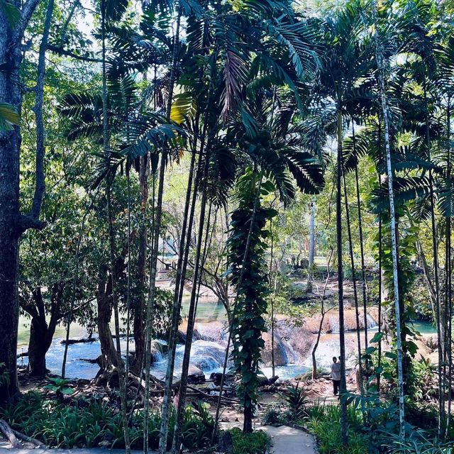 สวนรุกขชาติมวกเหล็ก Muak Lek Arboretum 