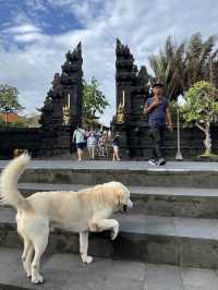Tanah Lot Temple & BatuBolong, Bali
