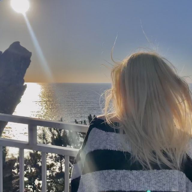 어디에 있든 인생샷을 건질 수 있는 엠클리프 카페✨