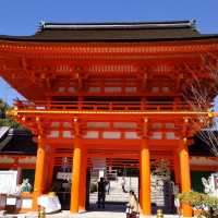 上賀茂神社の桜は五分咲きで華やかだった。