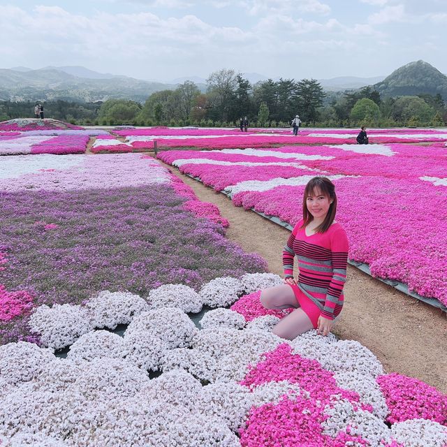 広島県　世羅　花夢の里