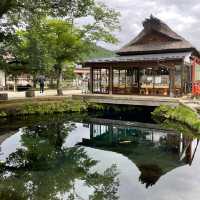 【ペットとお出かけ】忍野八海を散策！