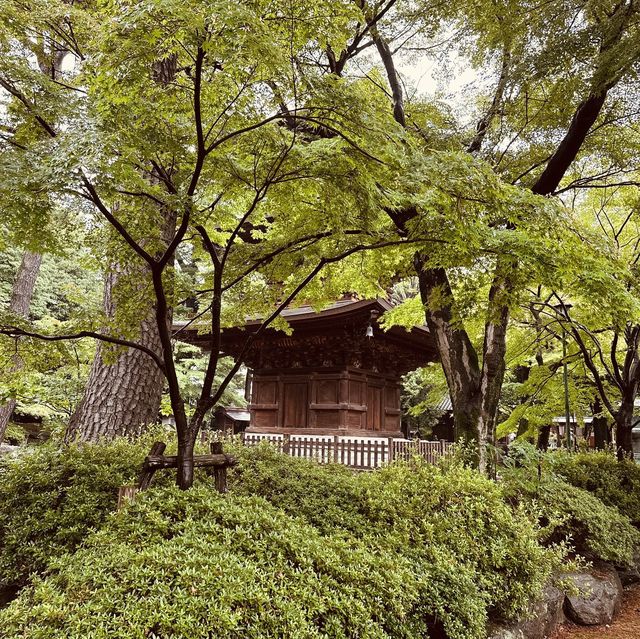 招財貓の寺——豪德寺🐈‍⬛😸