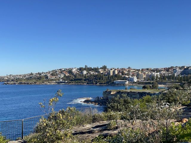 Bondi to Coogee Walk 