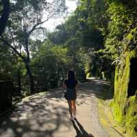 Peak Trail