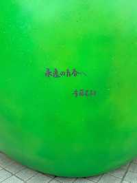 【韓国/原州】期間限定！安藤忠雄展🍏