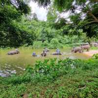 ศูนย์อนุรักษ์ช้างไทยลำปาง