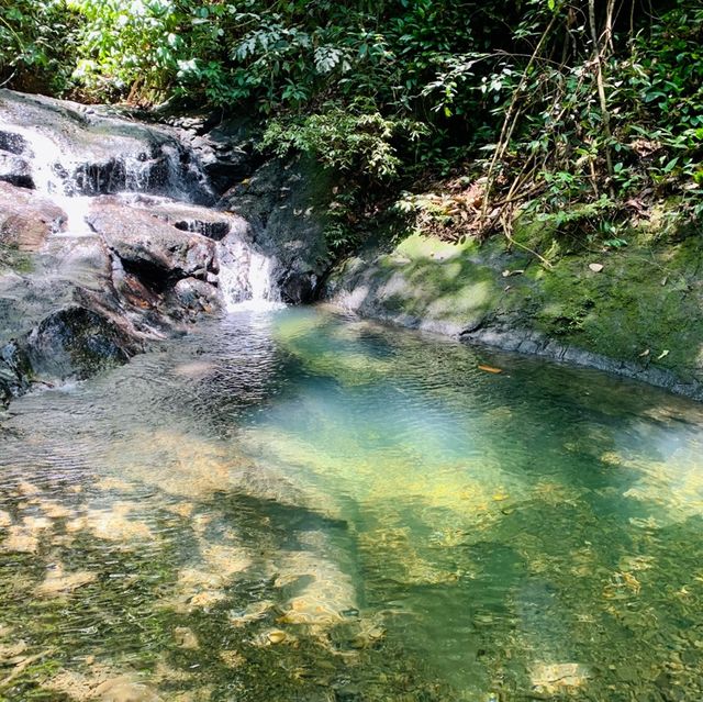 🇧🇳🌙Brunei’s ONLY National Park - SEA Gem 💎 
