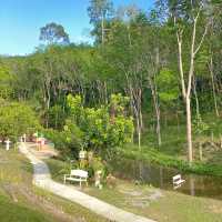 ลานสกาฟาร์มแกะ นครศรีธรรมราช