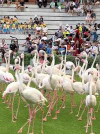 Asia’s Largest Birdpark 🐧