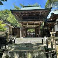 【福岡/志賀島】志賀海神社