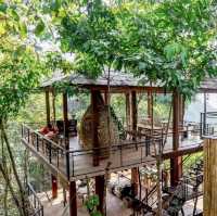 高空咖啡店🌳☕️🌿Tree Cafe