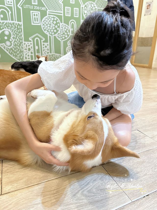 在曼谷親親哥基🐶和小浣熊🦝