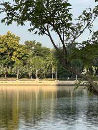 สวนเบญจกิติ 🌳🍃