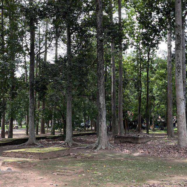 วัดมหาธาตุ จ.พิจิตร ท่ามกลางป่า