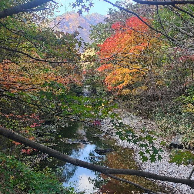 Autumn view of Naejangsan National Park 