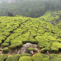 PARADISE OF KERALA