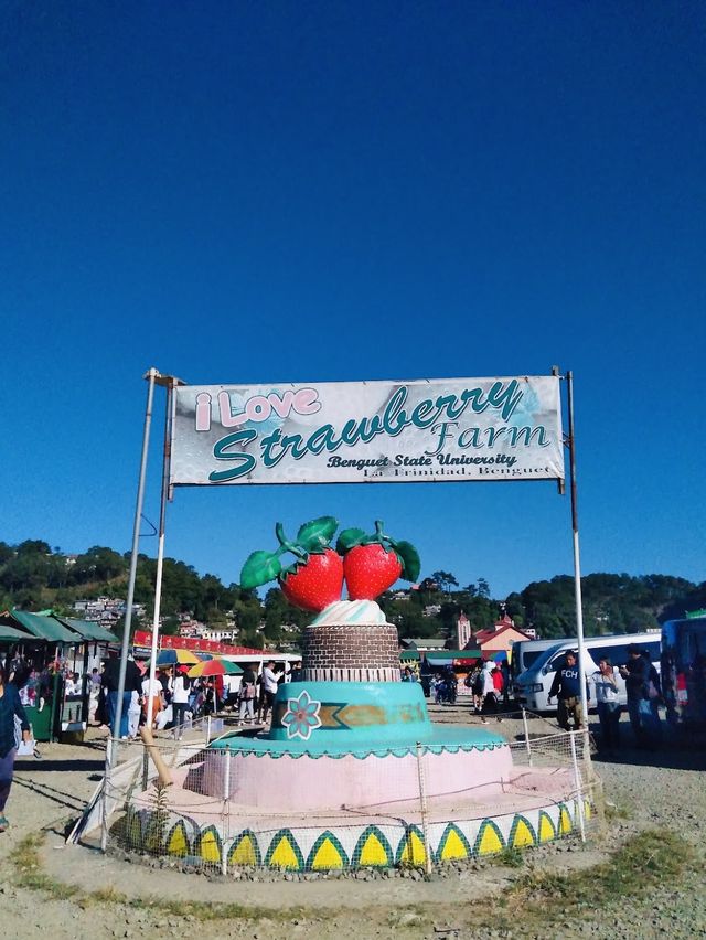 La Trinidad Strawberry Farm