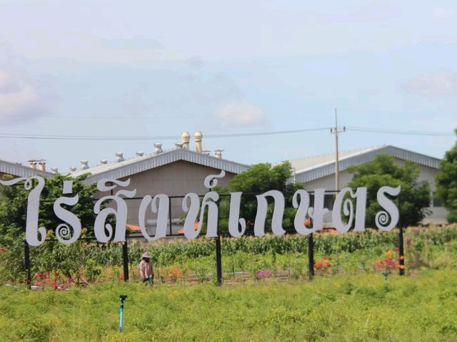 ไร่เกษตรสิงห์บุรี