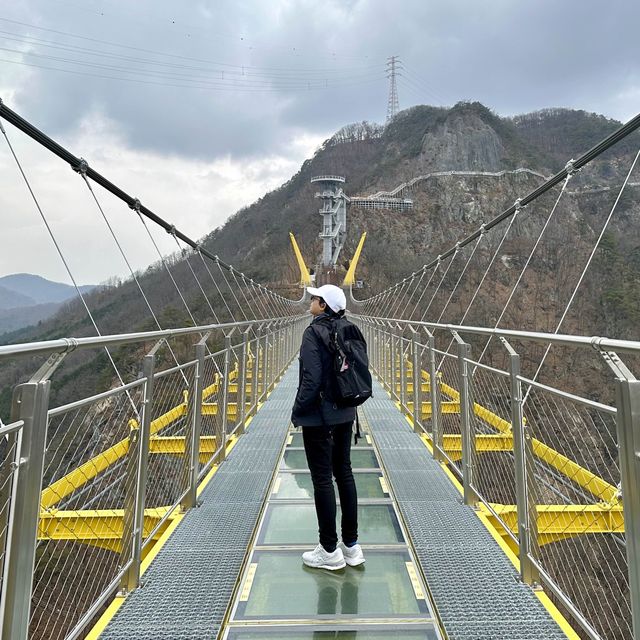 Fall in love with suspension bridges !! 