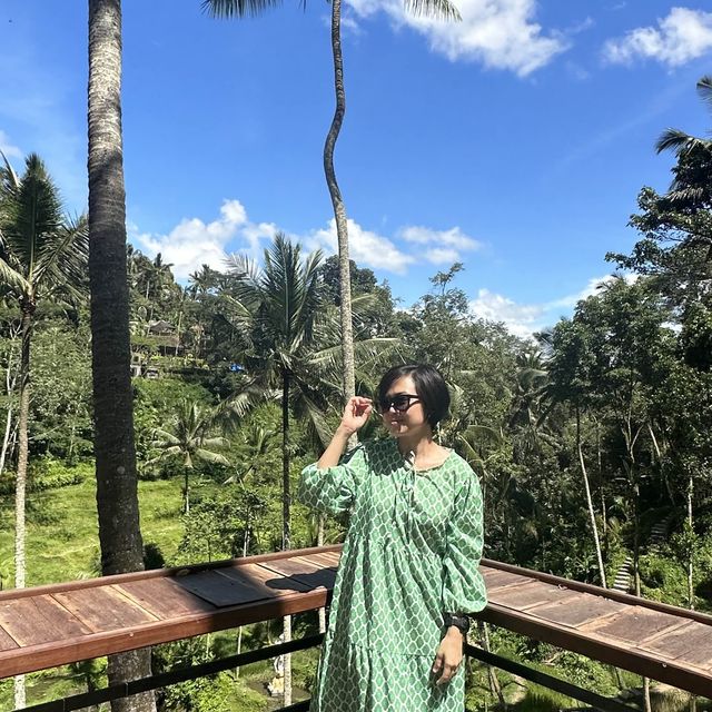 Green at the Rice Terrace