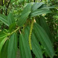 世外桃源【台北中正】台北植物園