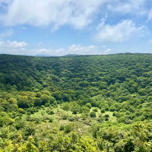 제주도에서 가장 큰 분화구를 가진 산굼부리