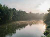 Route 3085 Campsite จ.กาญจนบุรี