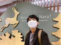 สวนกวางนารา Nara Park 🦌