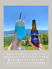 【長野】わんこと行ける絶景スポット🌿