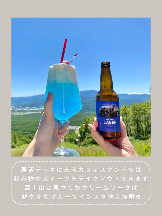【長野】わんこと行ける絶景スポット🌿