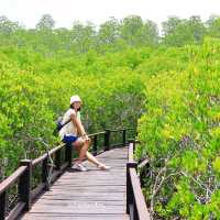 เส้นทางศึกษาธรรมชาติ วนอุทยานปราณบุรี