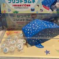 【巨大水槽を浅瀬から深層まで眺める】水族館