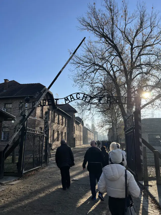 Auschwitz: The Largest Nazi Extermination Camp