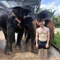 The best day of your life with Elephants 🐘🌿