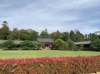 🎋奈良「東大寺」：探索古代佛教文化的代表性景點✨