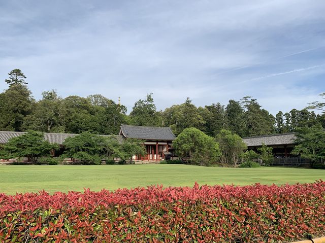 🎋奈良「東大寺」：探索古代佛教文化的代表性景點✨
