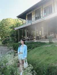 Mori Natural Farm โมริ เนเชอรัลฟาร์ม เชียงใหม่🌳☁️