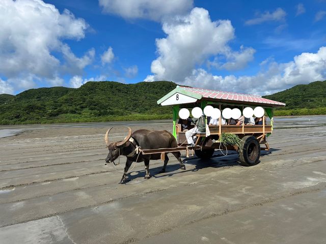 沖縄・西表島【由布島】